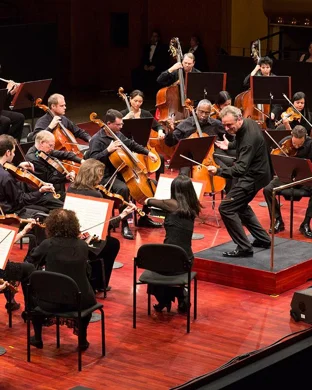 American Portege Winners Recital New York