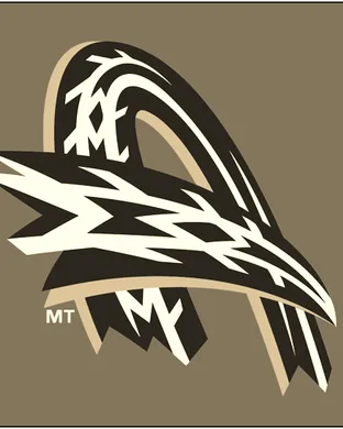 Akron Rubberducks Bridgewater
