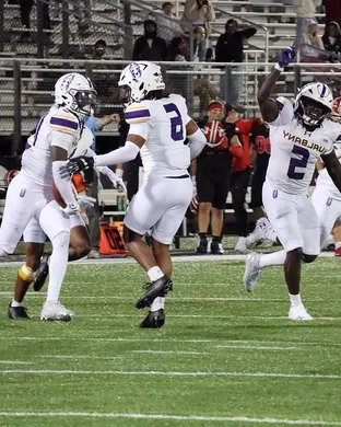 Ualbany Great Danes Football Stony Brook