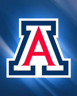 Arizona Wildcats New York