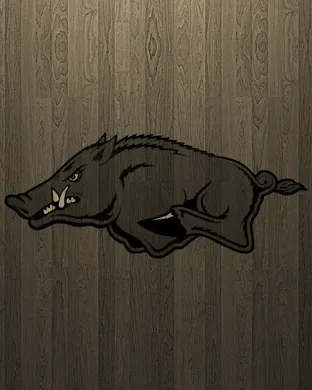 Arkansas Razorbacks Basketball New York