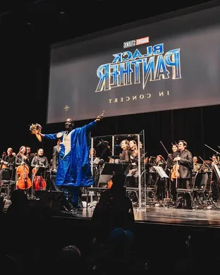 Black Panther In Concert Bronx