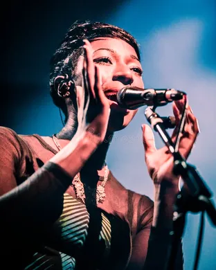Bonobo Brooklyn