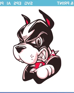 Boston University Terriers New York