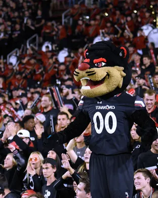 Cincinnati Bearcats New York