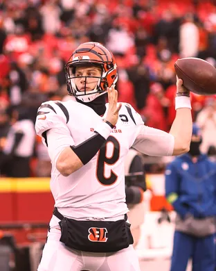 Cincinnati Bengals New York