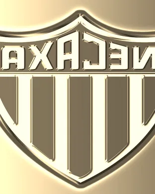 Club Necaxa Harrison
