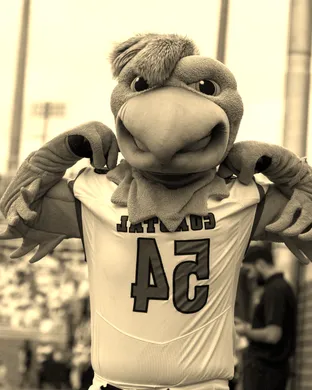 Coastal Carolina Chanticleers New York