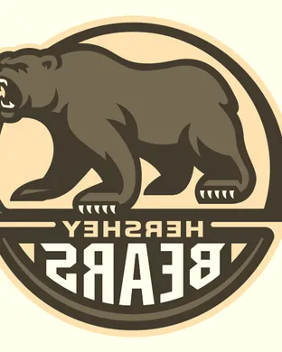 Hershey Bears New York