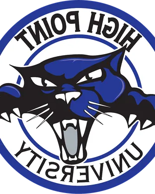 High Point Panthers New York