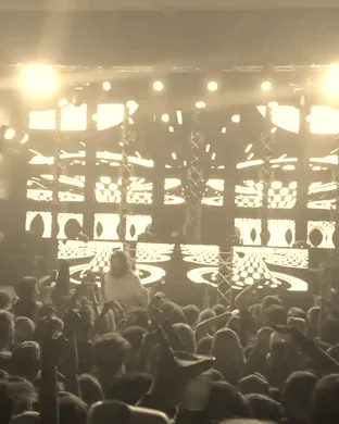 Hippie Sabotage Brooklyn