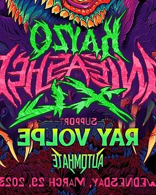 Kayzo New York