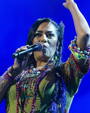 Lila Downs Flushing