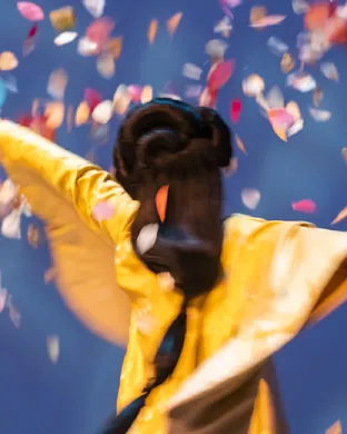 Madama Butterfly New York