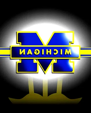 Michigan Wolverines Piscataway