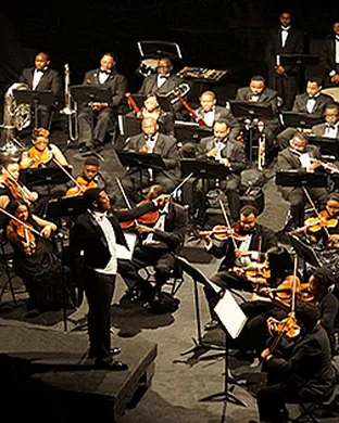 Orchestra Noir New York