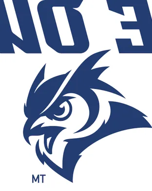 Rice Owls Football New York