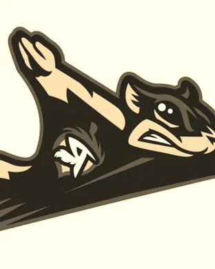 Richmond Flying Squirrels Bridgewater
