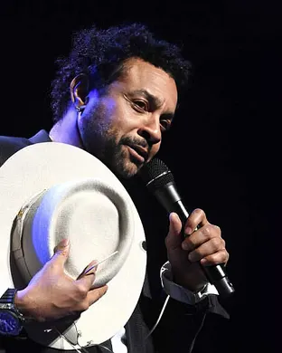 Shaggy New York