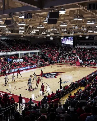 Stony Brook Seawolves New York