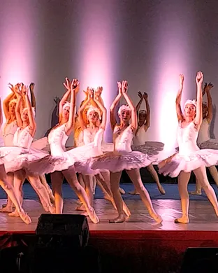 Swan Lake - Symphony of Lights