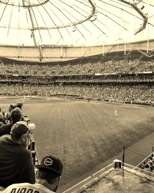 Tampa Bay Rays New York