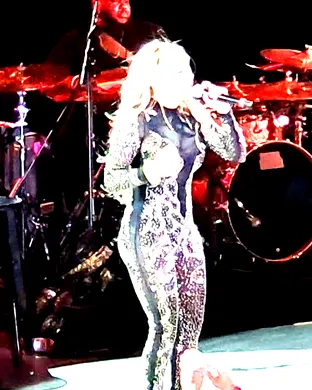 Taylor Dayne Englewood