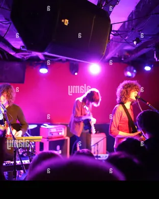 Temples Brooklyn
