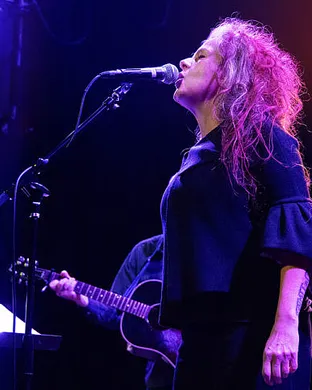 The New Pornographers Tarrytown