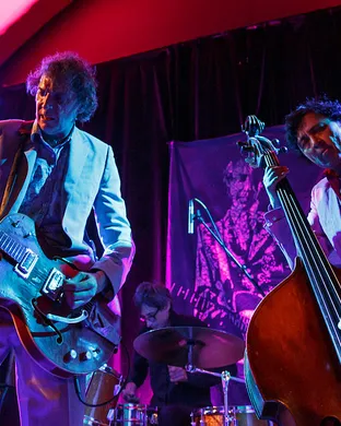 The Sadies Fairfield