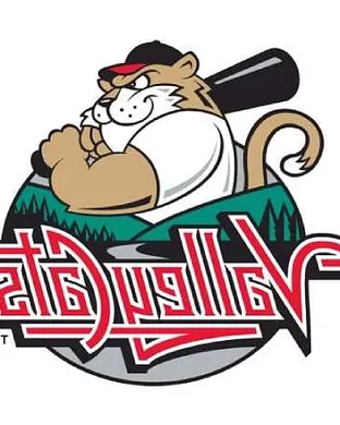 Tri-city Valleycats New York