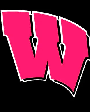 Wisconsin Badgers Football New York