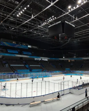 Clarkson Golden Knights Potsdam