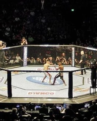 Ragin Fighting Championship White Plains