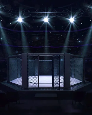 UFC 328 Newark