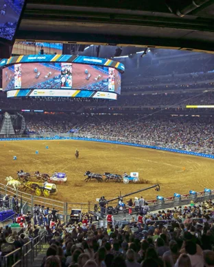 PBR: Teams Series