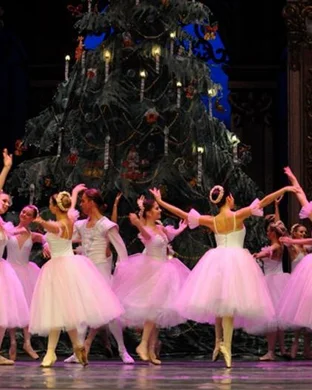Westchester Ballet Tarrytown