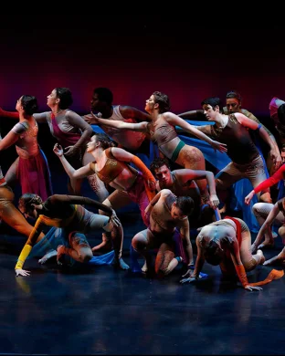 Dance Now! New York