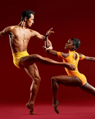 IDL - International Dance League New York